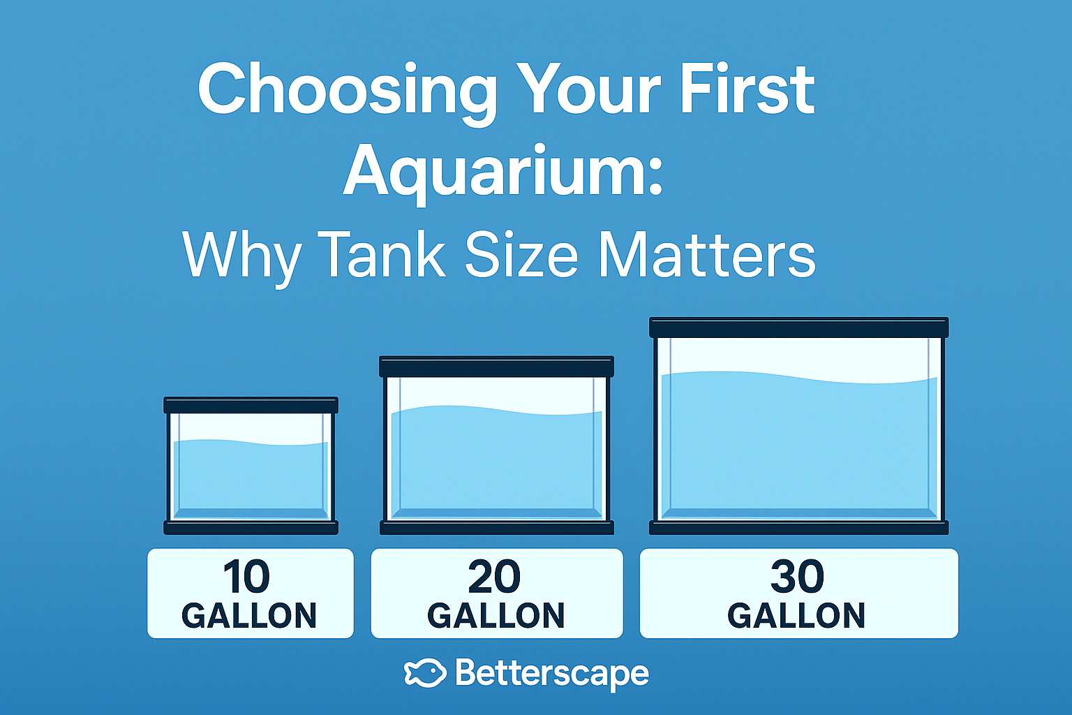 What Size Aquarium Should I Get as a Beginner?