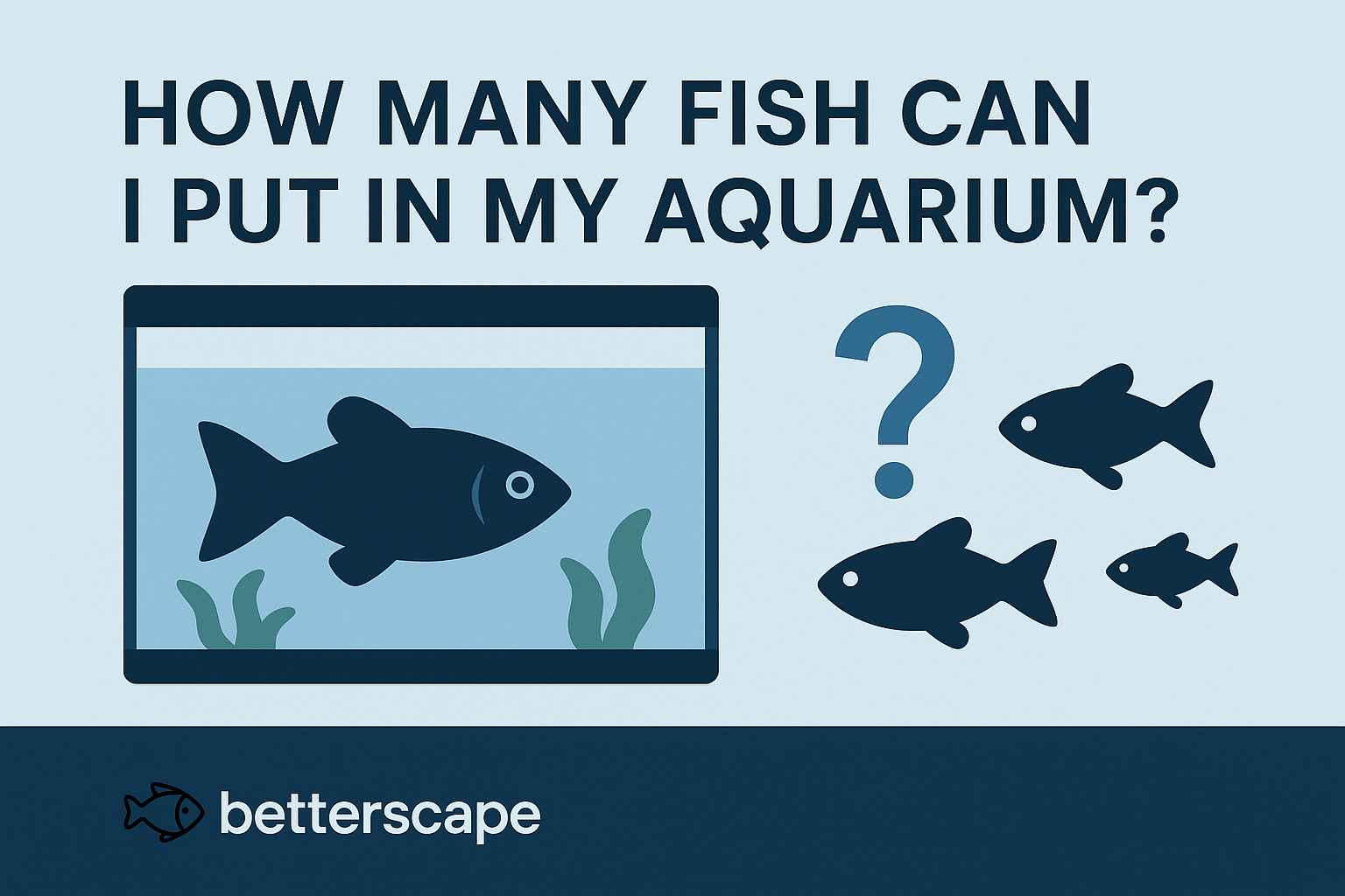 How Many Fish Can I Put in My Aquarium?
