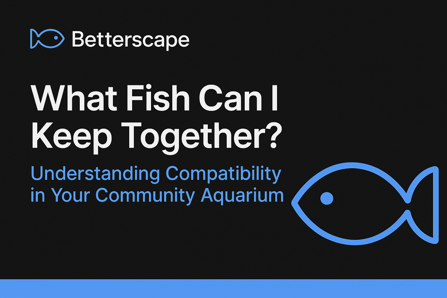 What Fish Can I Keep Together?